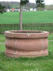 Sandsteinsanierung IMG_0481-1